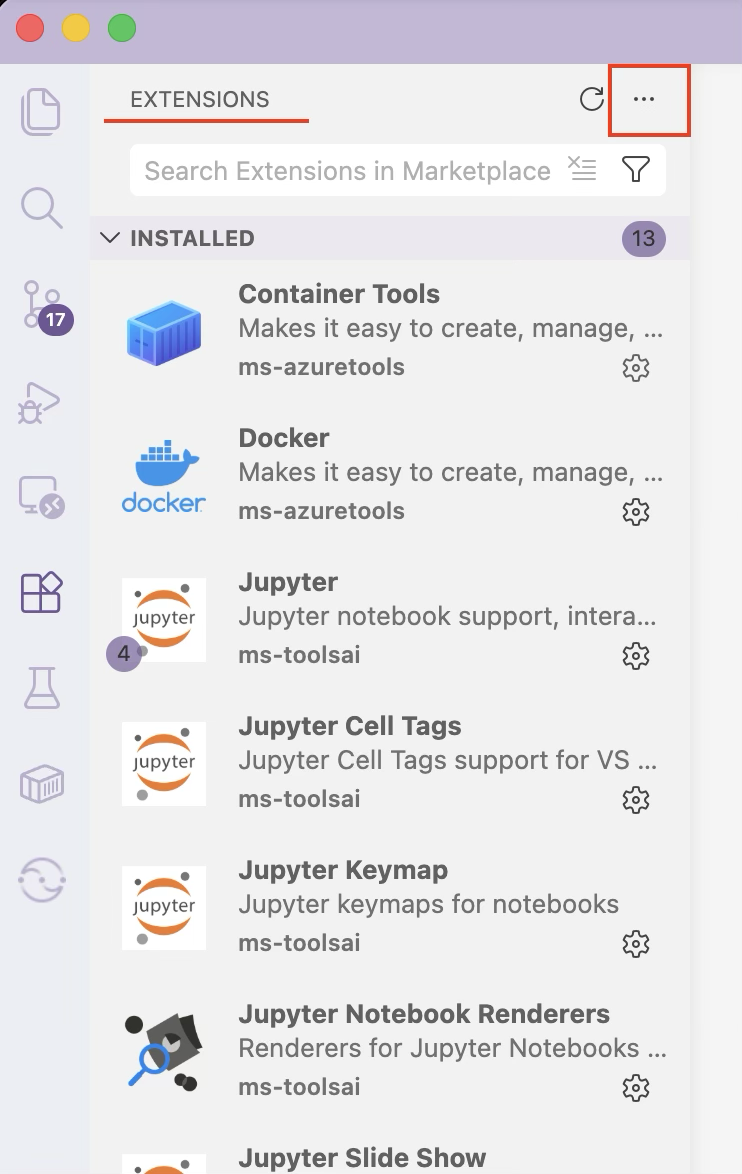 Extensions panel in the Activity Bar